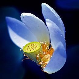 NS港服商城开启新春优惠活动 第一方大作最高七折优惠